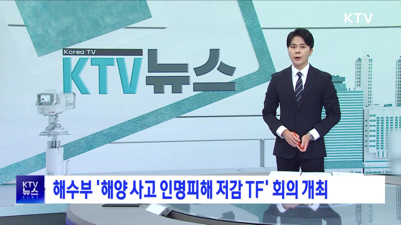 해수부 '해양 사고 인명피해 저감 TF' 회의 개최 영상보기